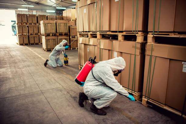 Best Local Pest Control Services  in Antioch, IL