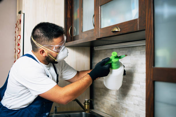 Best Pest Inspection Near Me  in Antioch, IL
