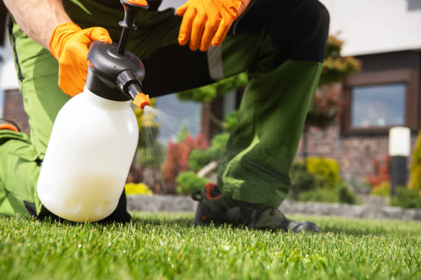Best Cockroach Control Services  in Antioch, IL