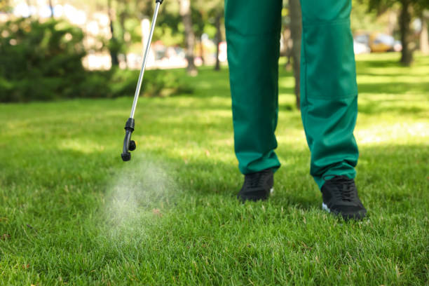Best Local Pest Control Services  in Antioch, IL