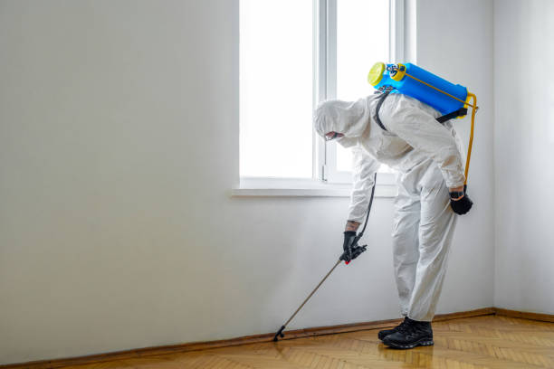 Best Exterminator Services  in Antioch, IL
