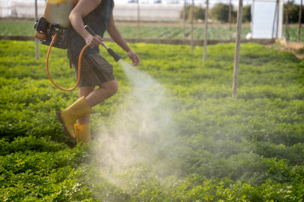 Best Affordable Pest Control Services  in Antioch, IL