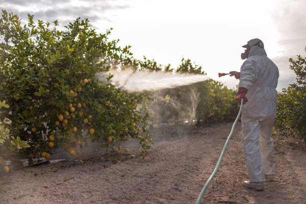 Best Flea Control Services  in Antioch, IL