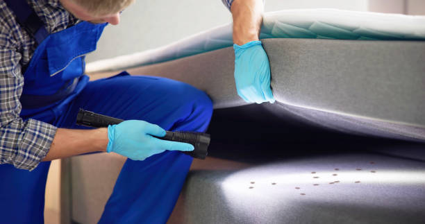 Best Ant Control Services  in Antioch, IL