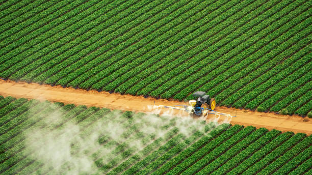Best Termite Control Services  in Antioch, IL