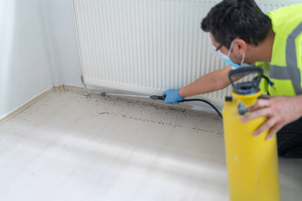 Best Rat Extermination Near Me  in Antioch, IL