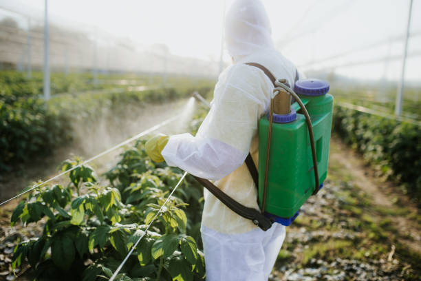Best Affordable Pest Control Services  in Antioch, IL
